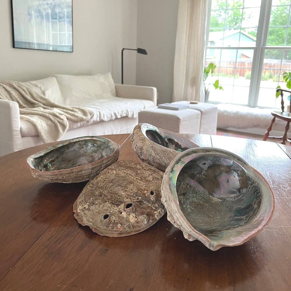 Natural Abalone Large Shell - Picture 2 of 16
